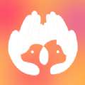 掌中宠安卓版