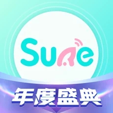 sure软件