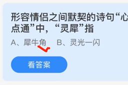 蚂蚁庄园形容情侣之间默契