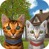 老鼠猫模拟器下载手机版